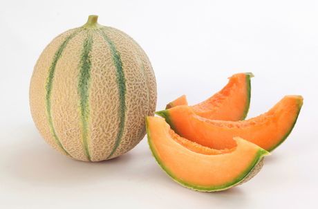 Meloni Retati